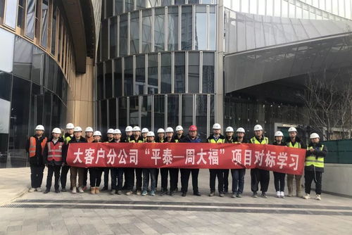 冬日里的活力交響 項目運營中的學習、演練與迎檢熱潮